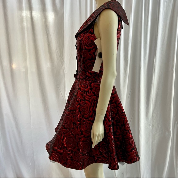 Tatyana Party dress - NWT! - Picture 6 of 10